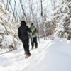 Little-Known Vermont Winter Trails to Explore This Season