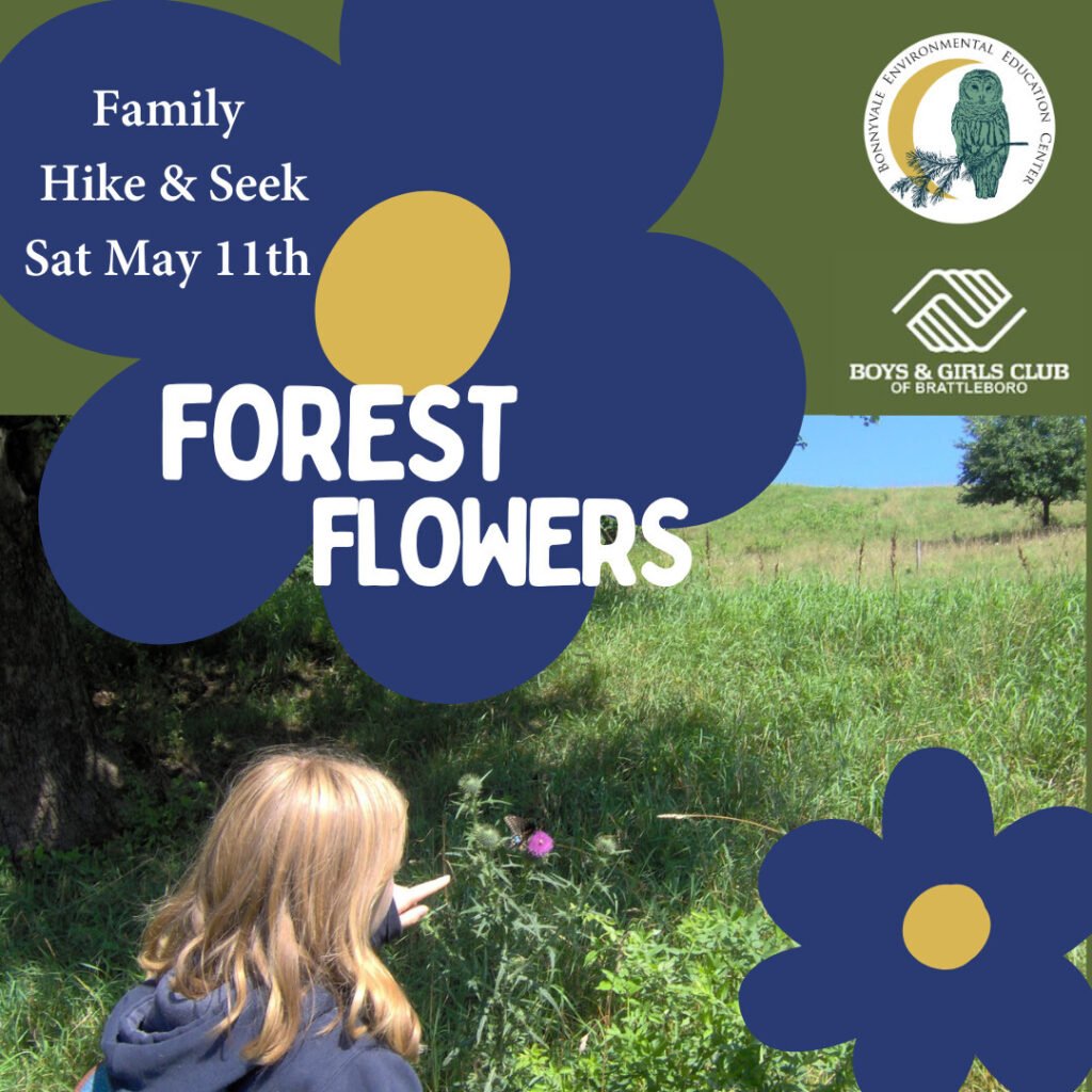Hike and Seek: Forest Flowers at Round Mountain, Brattleboro