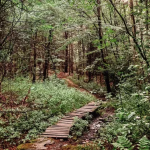 2020 Trails Julie Houle