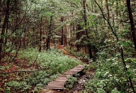 2020 Trails Julie Houle