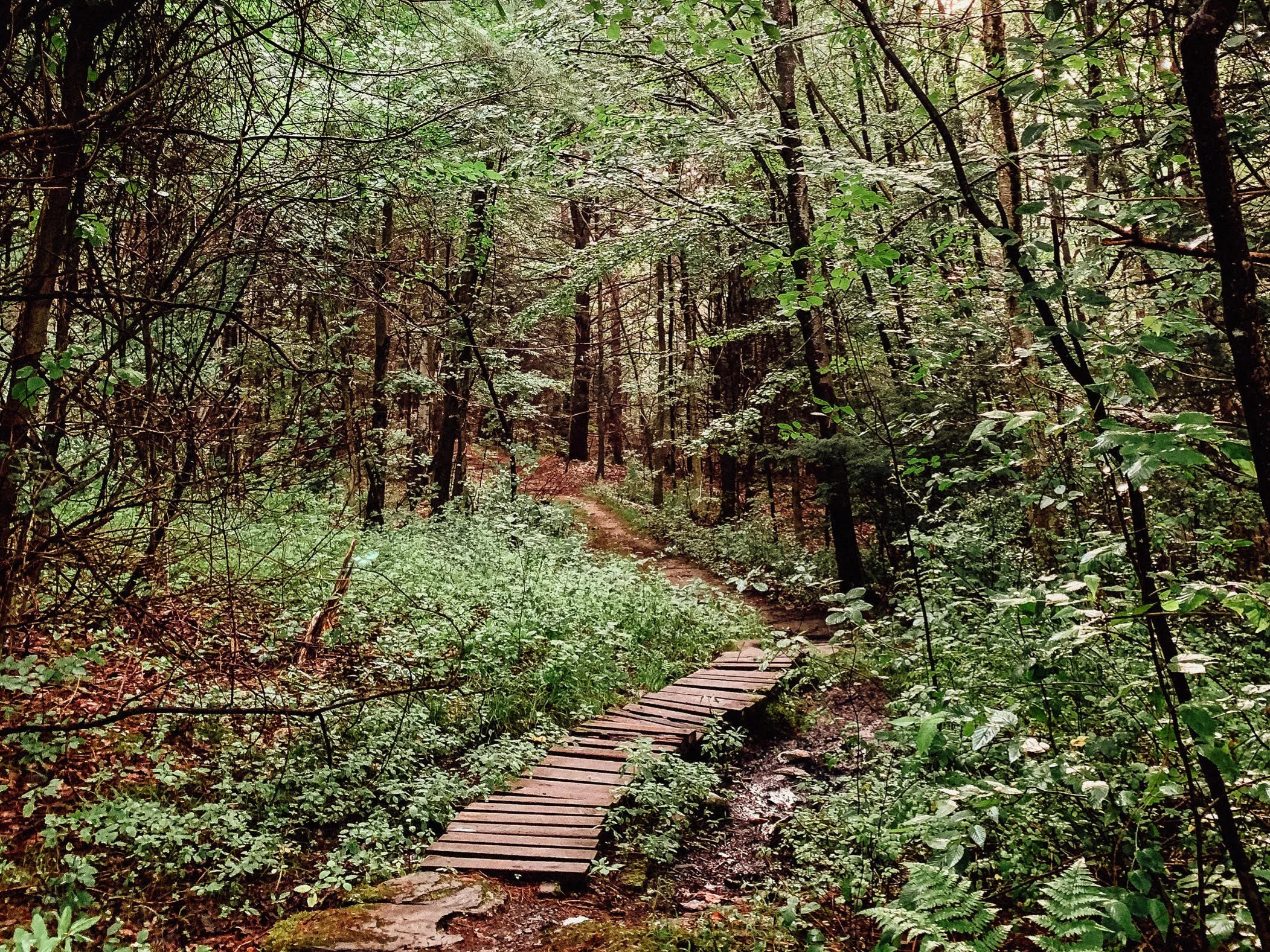 2020 Trails Julie Houle