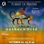 2026 Forest Of Mystery POSTER 11 X 17 In