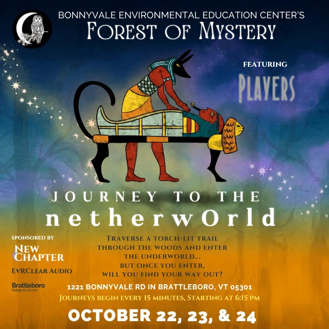 Forest of Mystery Journey to the Netherworld