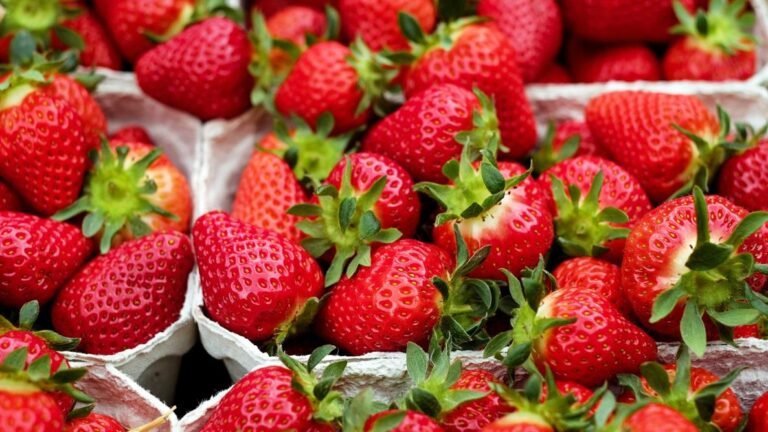Strawberry Festival at the Hinsdale Farmers' Market