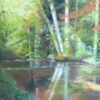 The Crowell Art Gallery presents 'Reflection,' Vermont landscapes by Nancy Calicchio