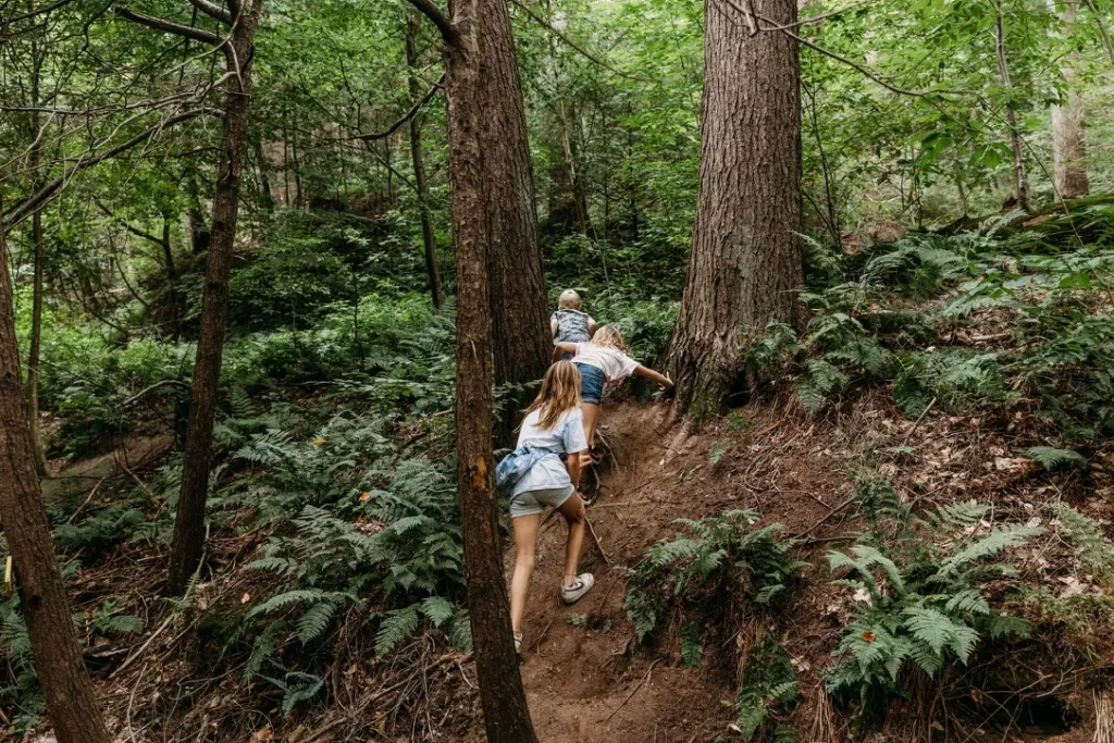 Guided Trail Walk