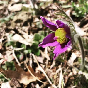 A148468F 0DFF 4525 AF1C 8660AB657047 Scaled