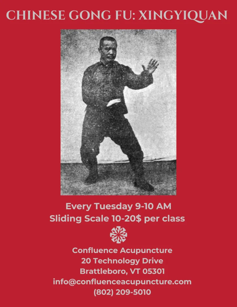 Chinese Gong Fu: Xingyiquan