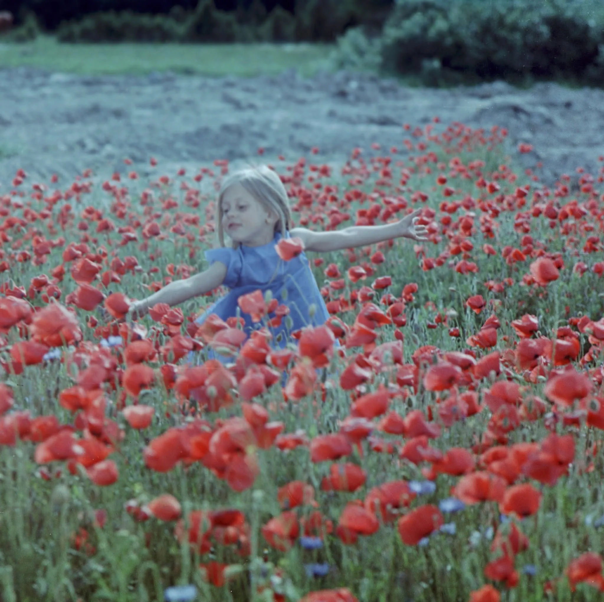 COLOURFUL DREAMS (1974)- Arthouse for All-Ages!!