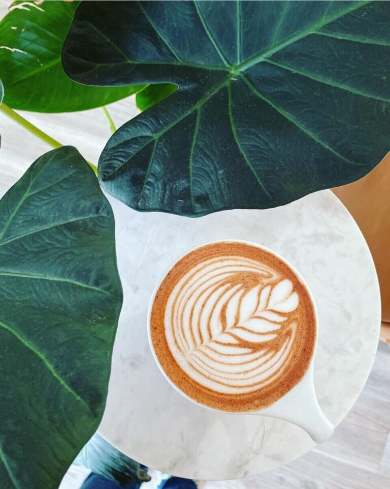 Duchess Coffee on BrattBeat 1 768x961