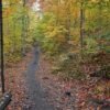 5 Easy Vermont Hikes to Try this Fall