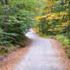 Forest Service Roads in Vermont Worth the Drive