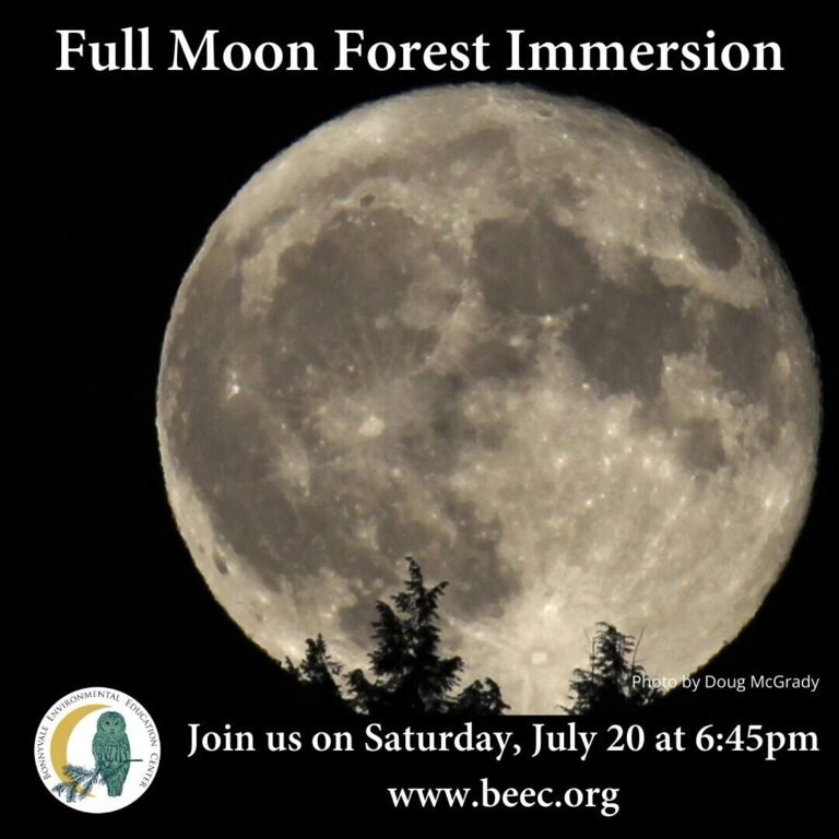 Full Moon Forest Immersion 2024 1 768x768