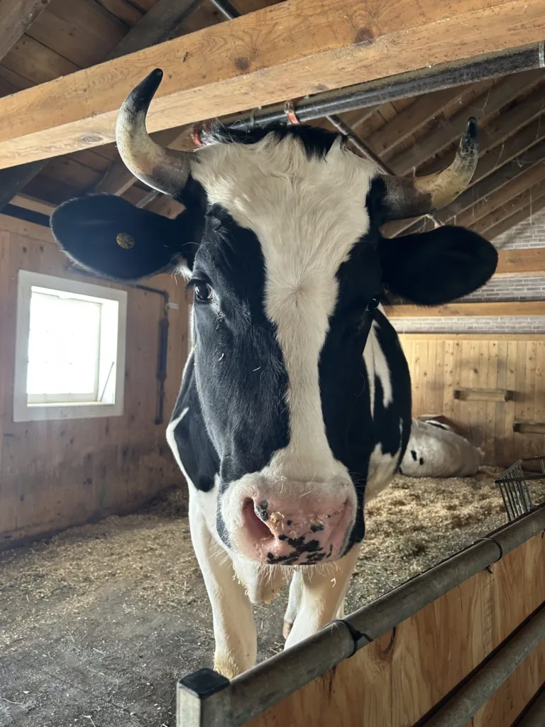 Open Barn