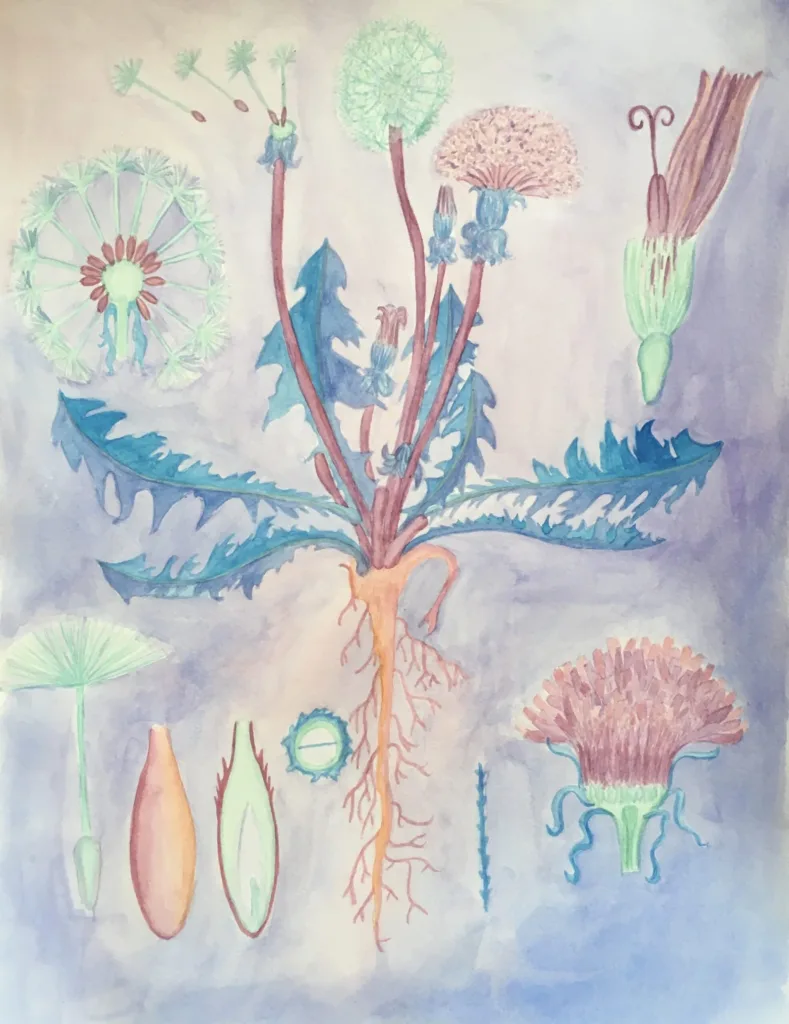 Nature Journaling Workshop