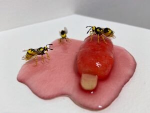 BMAC presents events with artist Judith Klausner