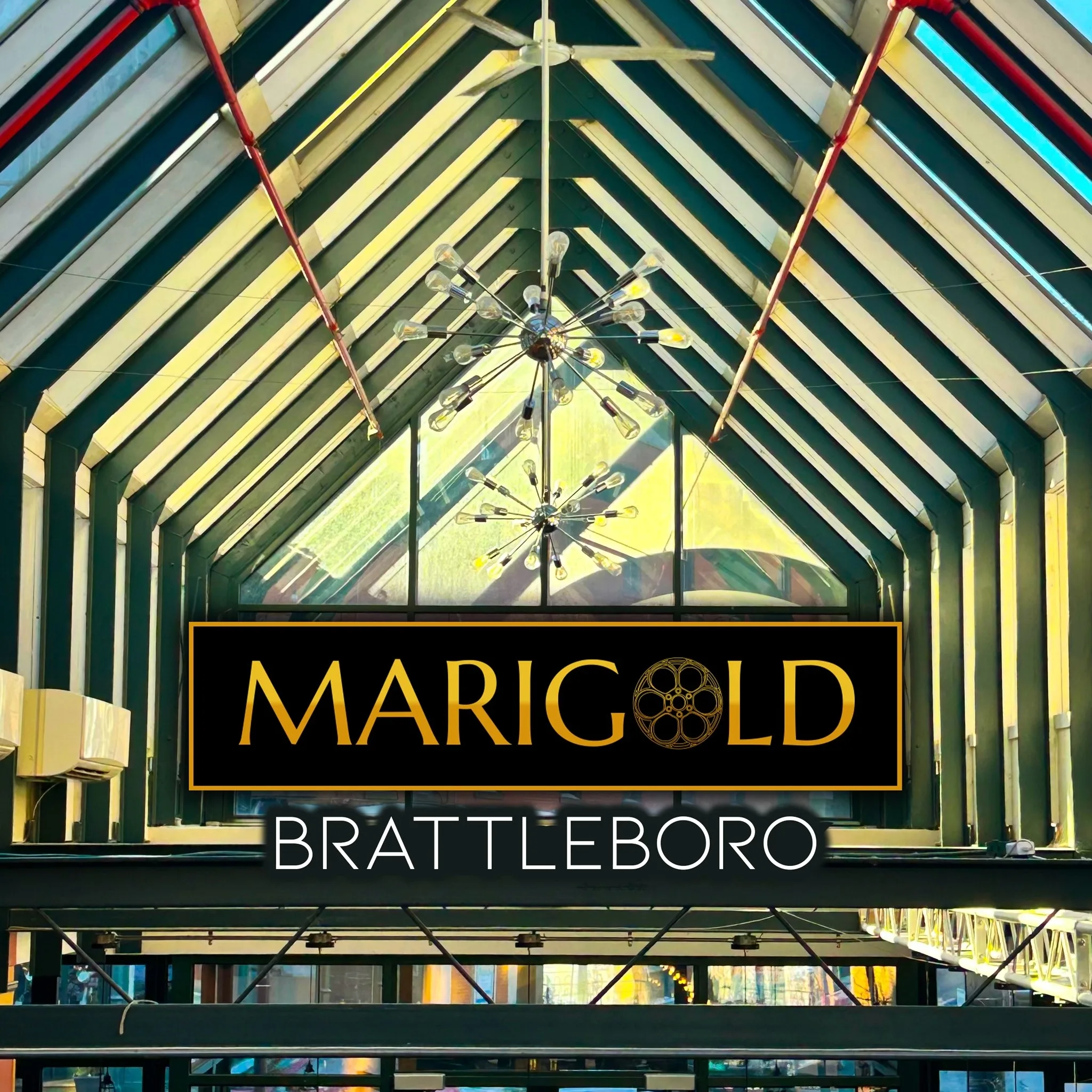 Marigold Brattleboro