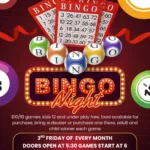 Red Modern Bingo Night Instagram Post 3