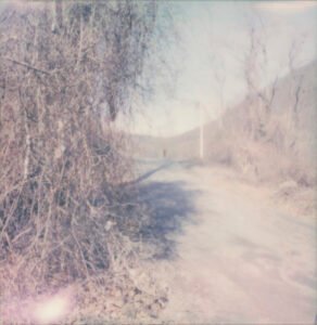 BMAC and RAMP Host a Panel Discussion on the Bellows Falls Island