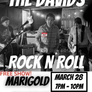 THE DAVIDS LIVE @ Marigold Brattleboro
