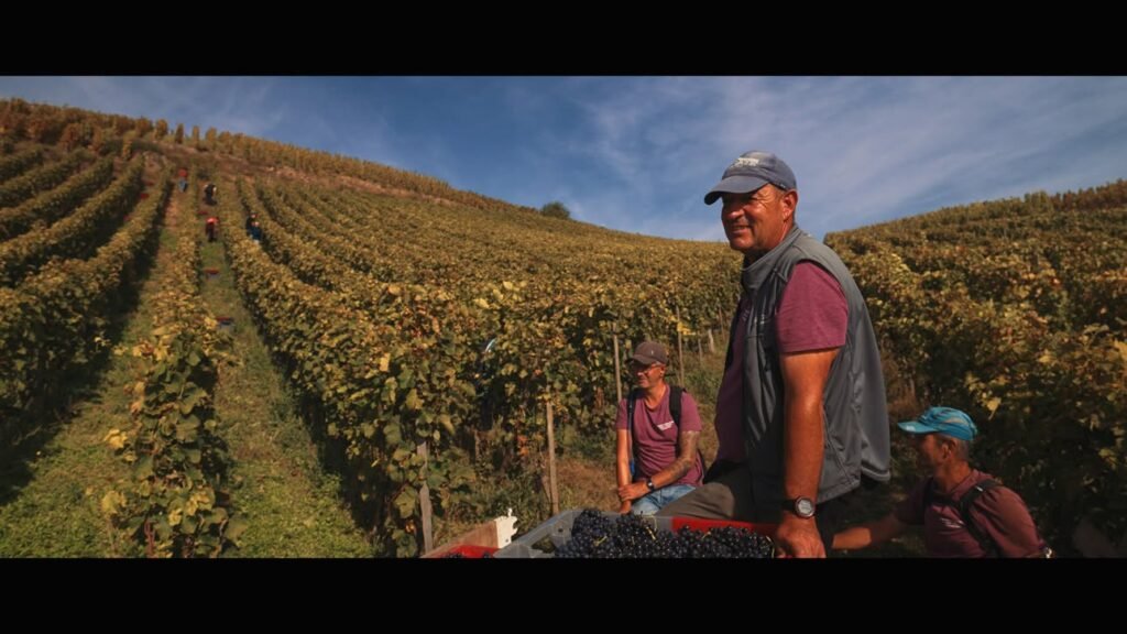 The Hills of Wrath: Documentary & Rhône Wine Seminar!