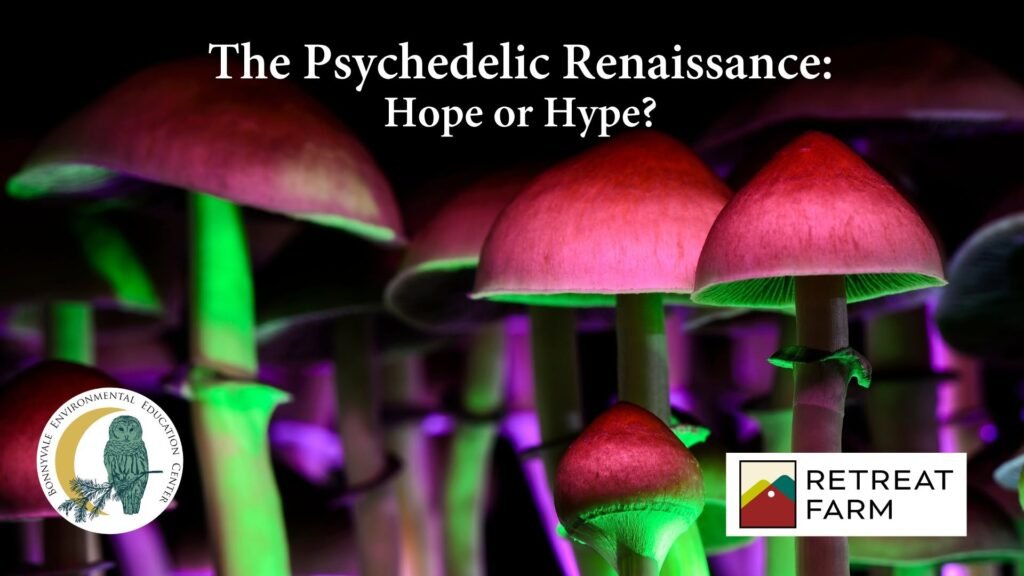 The Psychedelic Renaissance–Hope or Hype?