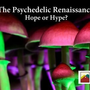 The Psychedelic Renaissance–Hope or Hype?