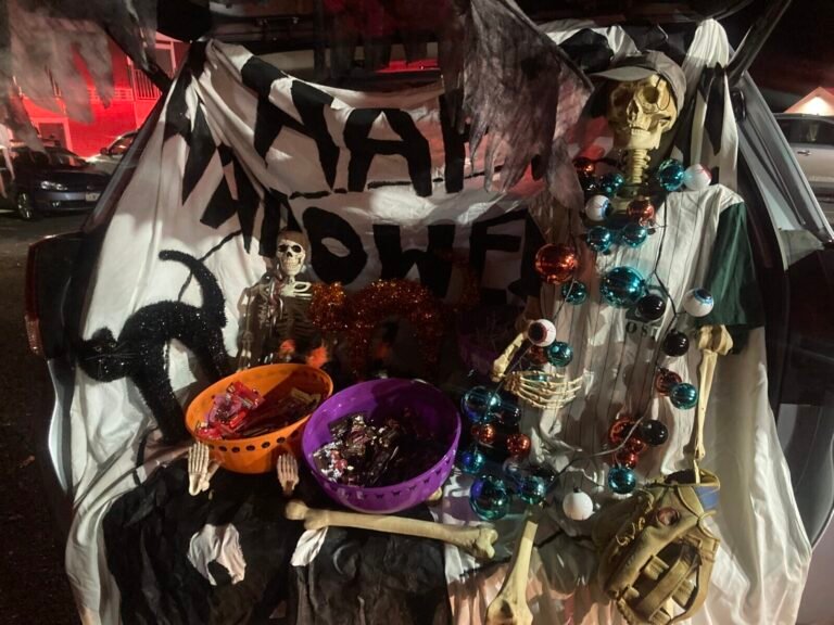 The Pumpkin Patch Spookfest and Trunk Or Treat 768x576