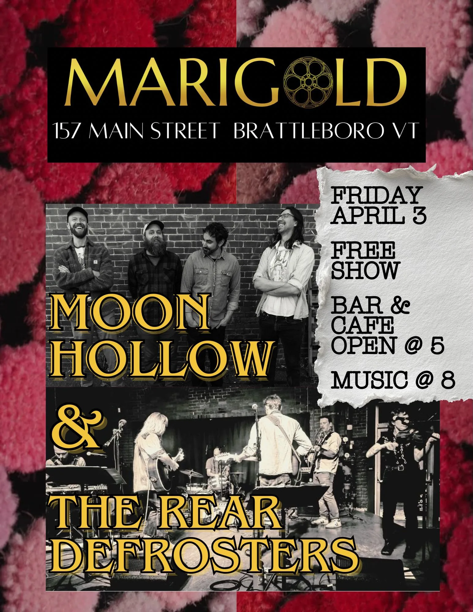 The Rear Defrosters Moon Hollow LIVE @ Marigold Brattleboro