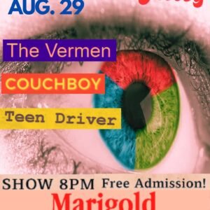 The Vermen :: COUCHBOY :: Teen Driver