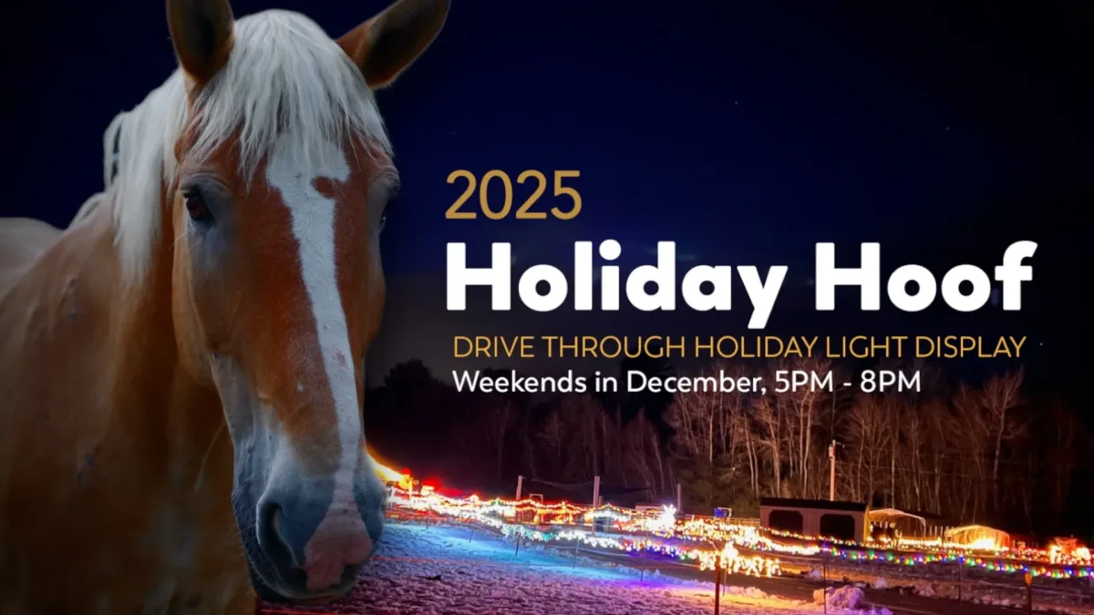 Thumbnail Holiday Hoof