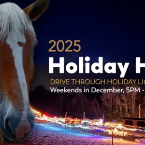 Thumbnail Holiday Hoof