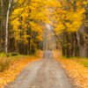 25 Things to Do in Vermont in Fall