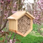 Bee Hotel