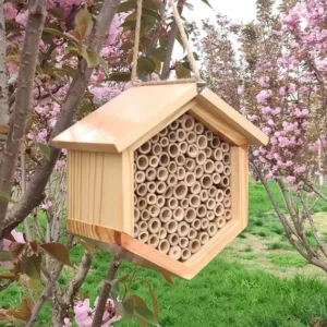 Bee Hotel