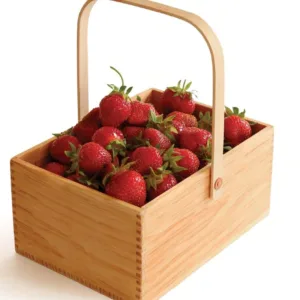 Berry 1