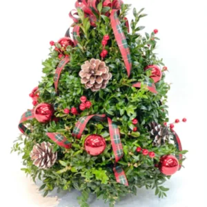 Boxwood Tree 1