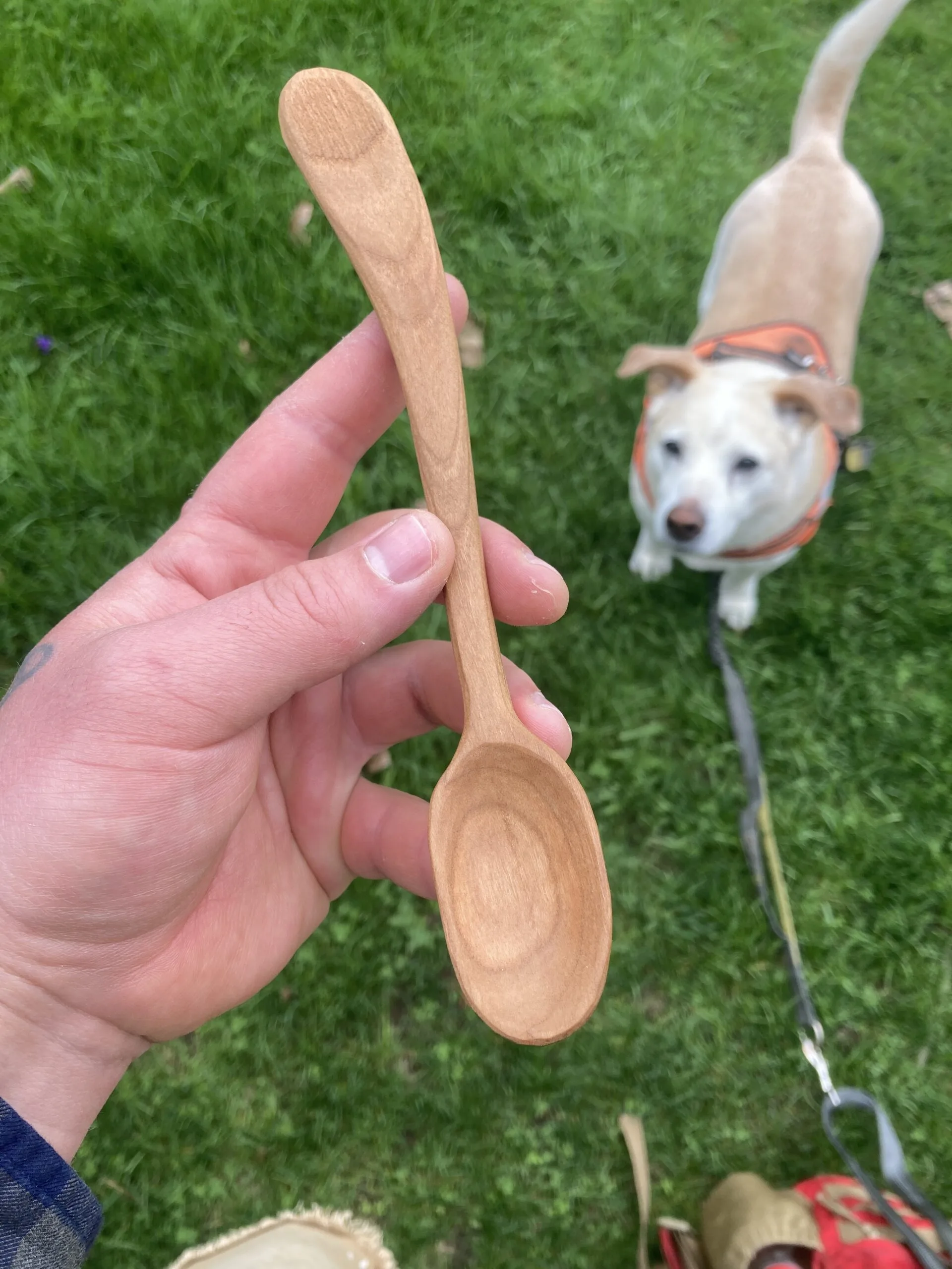 Intermediate Spoon Carving: Make a Cherry Tea Spoon
