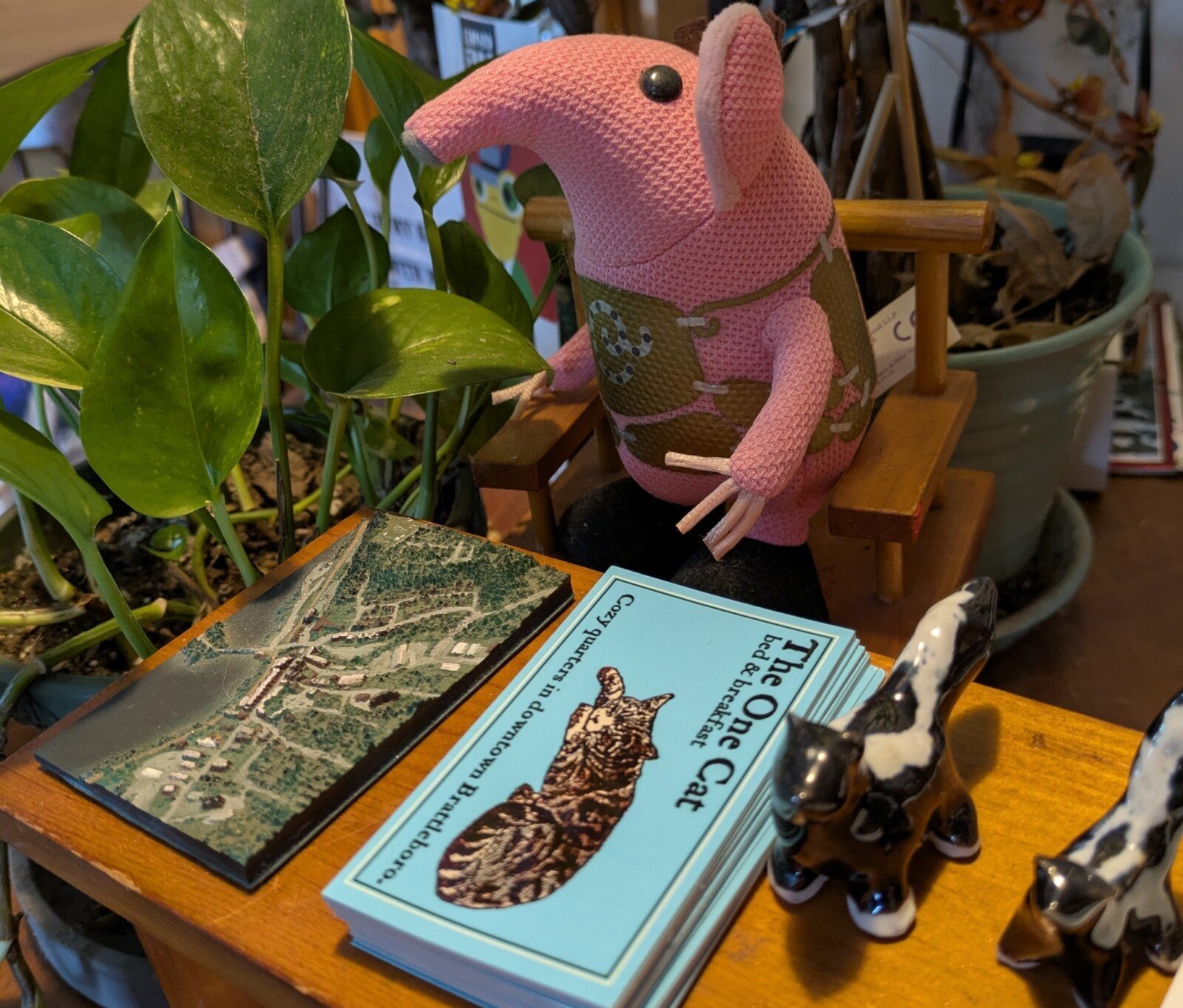 cover-image
