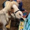 Painting with Pepperoni, a Miniature Horse; Judi Whipple; and Jane Bradley at Breckenridge Farm in Plainfield