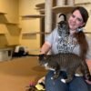 Two Months After the Flood, Alexis Dexter Rebuilds Kitty Korner Café in Barre and Continues to Rescue Cats