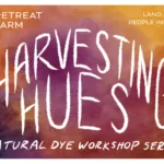 Harvestinghues Banner Scaled