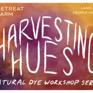 Harvestinghues Banner Scaled