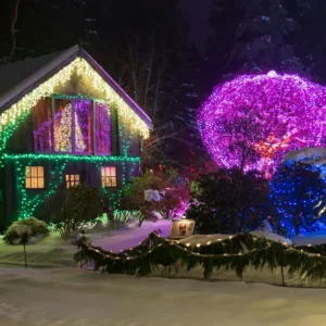 Pexels Souvenirpixels 19544859 Scaled