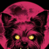 Reworded Title: “Yorkie Werewolf Captivates Terrier Lovers”