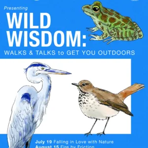 Wild Wisdom Series Scaled